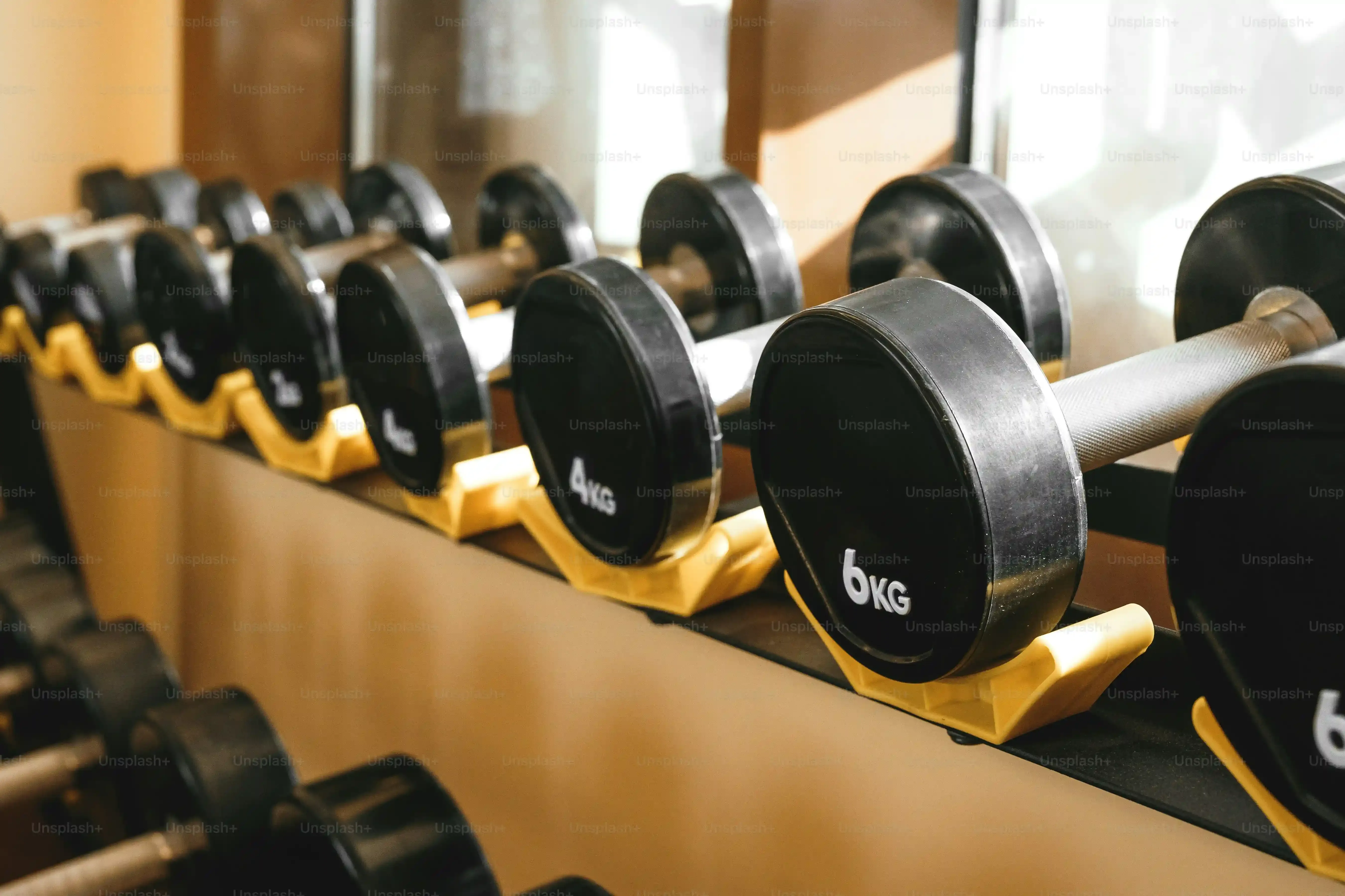 The 10 best home gym equipment for amazing results